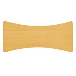 Reiki Panel